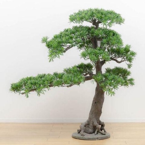 BONSAI YUCCA 130X70X115CM GREE